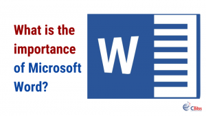 What is the importance of Microsoft Word?