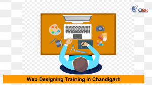 Web Designing Training in Chandigarh